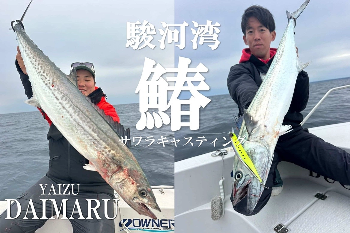 今話題のターゲットⅡ】駿河湾サワラキャスティングで良型出てます